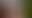 Placeholder for the image