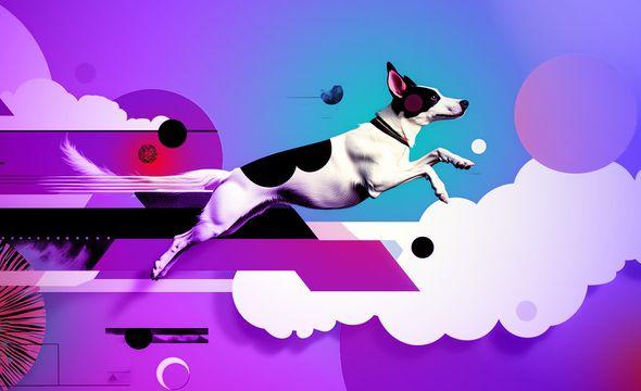 A black and white dog jumping through an illustrative environment of geometric shapes