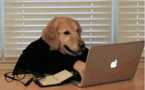 A dog typing on laptop.
